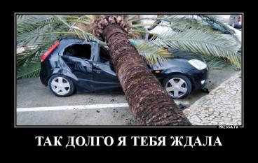 Так долго я тебя ждала