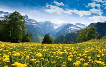 Открытие Колумба острова Уотлинг на Гавайях