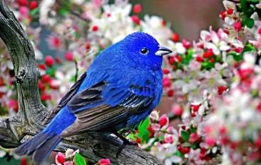 Памятники архитектуры.