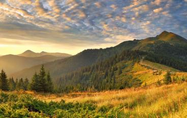 Парк вместо павильонов
